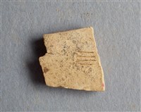 藏品(甲骨殘片)的圖片