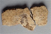 藏品(甲骨殘片)的圖片