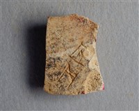 藏品(甲骨殘片)的圖片