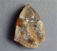 藏品(甲骨殘片)的圖片