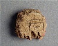 藏品(甲骨殘片)的圖片