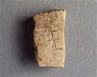 藏品(甲骨殘片)的圖片