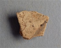 藏品(甲骨殘片)的圖片