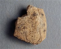 藏品(甲骨殘片)的圖片