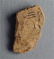 藏品(甲骨殘片)的圖片