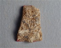 藏品(甲骨殘片)的圖片