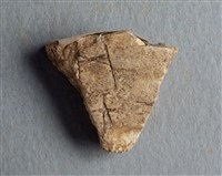 藏品(甲骨殘片)的圖片