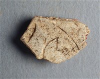 藏品(甲骨殘片)的圖片