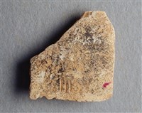 藏品(甲骨殘片)的圖片