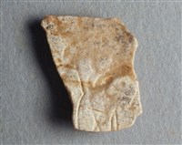 藏品(甲骨殘片)的圖片