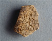 藏品(甲骨殘片)的圖片