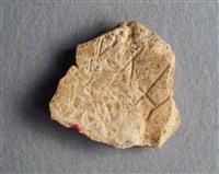 藏品(甲骨殘片)的圖片