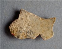 藏品(甲骨殘片)的圖片