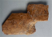 藏品(甲骨殘片)的圖片