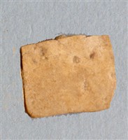 藏品(甲骨殘片)的圖片