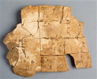 藏品(甲骨殘片)的圖片