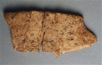 藏品(甲骨殘片)的圖片