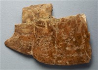 藏品(甲骨殘片)的圖片
