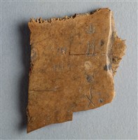 藏品(甲骨殘片)的圖片