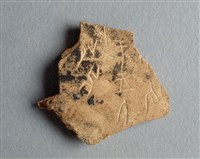 藏品(甲骨殘片)的圖片