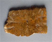 藏品(甲骨殘片)的圖片