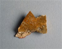 藏品(甲骨殘片)的圖片