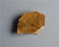 藏品(甲骨殘片)的圖片