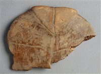 藏品(甲骨殘片)的圖片