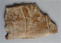 藏品(甲骨殘片)的圖片