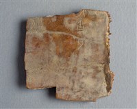 藏品(甲骨殘片)的圖片