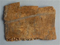 藏品(甲骨殘片)的圖片