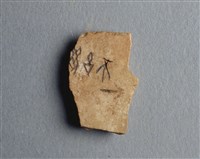 藏品(甲骨殘片)的圖片