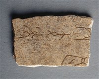 藏品(甲骨殘片)的圖片