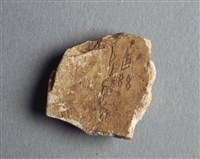 藏品(甲骨殘片)的圖片