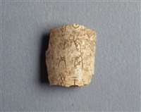 藏品(甲骨殘片)的圖片