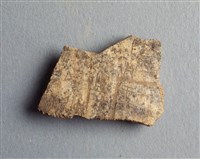 藏品(甲骨殘片)的圖片