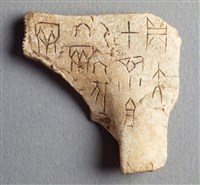 藏品(甲骨殘片)的圖片