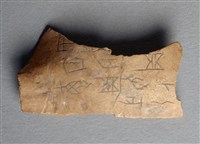 藏品(甲骨殘片)的圖片