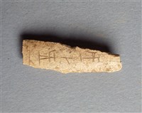 藏品(甲骨殘片)的圖片