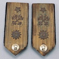 藏品(胡嘉恆中將肩章)的圖片