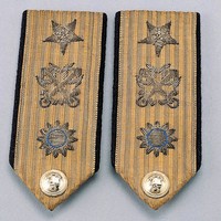 藏品(胡嘉恆中將肩章)的圖片