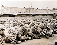 藏品(反共義士資料八)的圖片