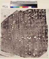 藏品(東漢熹平殘碑拓本)的圖片