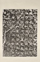 藏品(漢孔宏碑拓本)的圖片