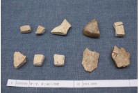 藏品(殷墟有字甲片)的圖片