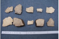 藏品(殷墟有字甲片)的圖片