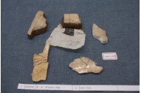 藏品(殷墟有字甲片)的圖片