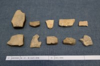 藏品(殷墟有字甲片)的圖片