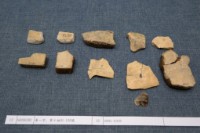 藏品(殷墟有字甲片)的圖片