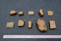 藏品(殷墟有字甲片)的圖片